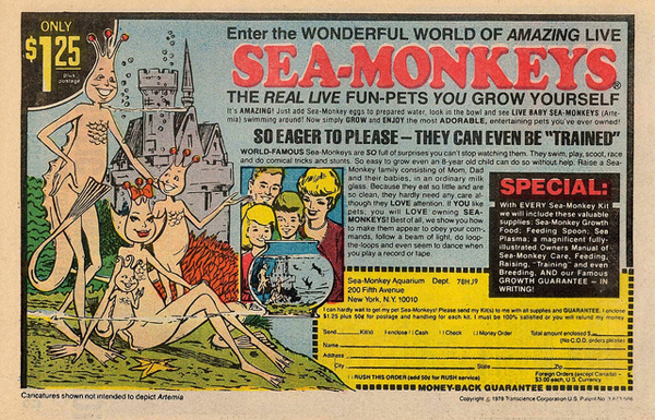 sea monkeys 